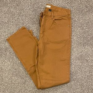 Carhartt Men's Brown Pants 34x36